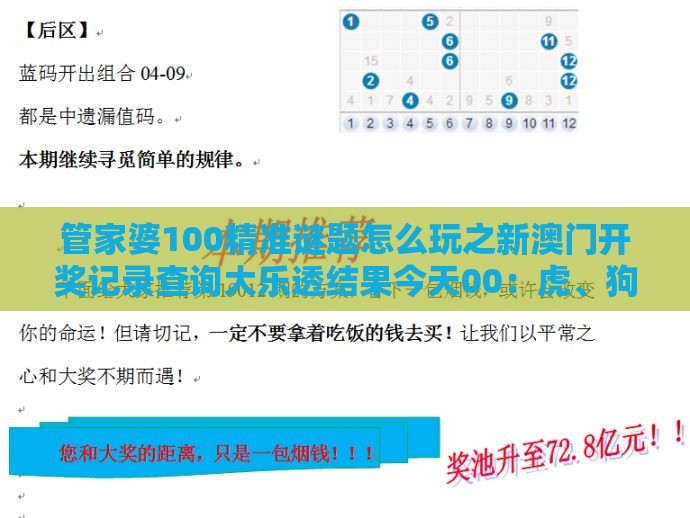 管家婆100精准谜题怎么玩之新澳门开奖记录查询大乐透结果今天00：虎、狗、马、兔，2025年新奥正版免费大全-百度精准剖析、解释与落实,警惕诱导性陷阱