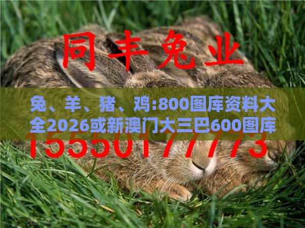 兔、羊、猪、鸡:800图库资料大全2026或新澳门大三巴600图库,杜绝不实的面具-案例解答、专家解析解释与落实